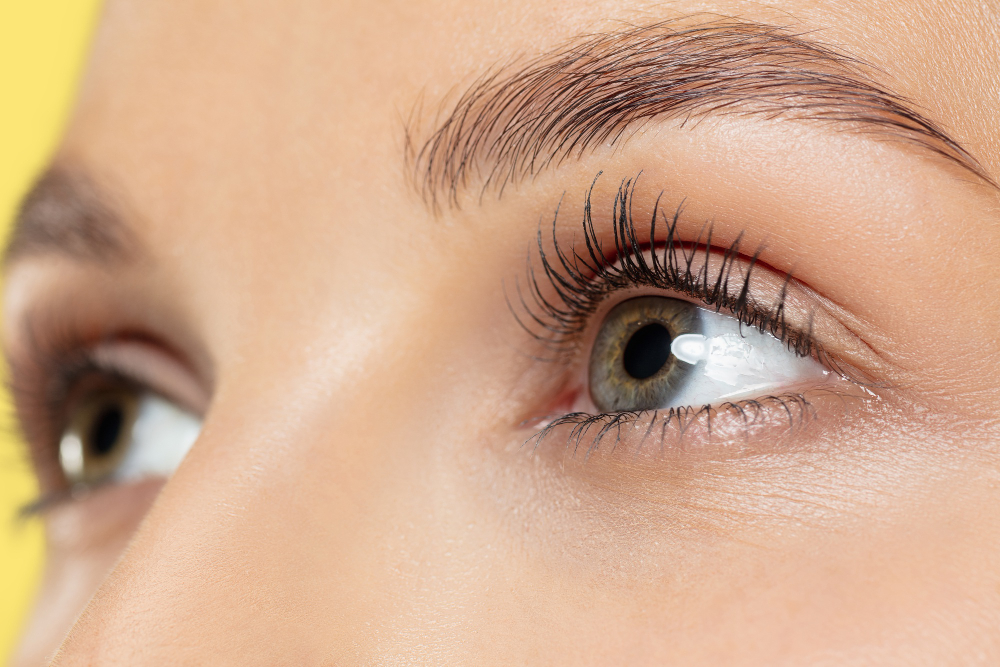 Expert Tips to Grow Healthier & Fuller Lashes